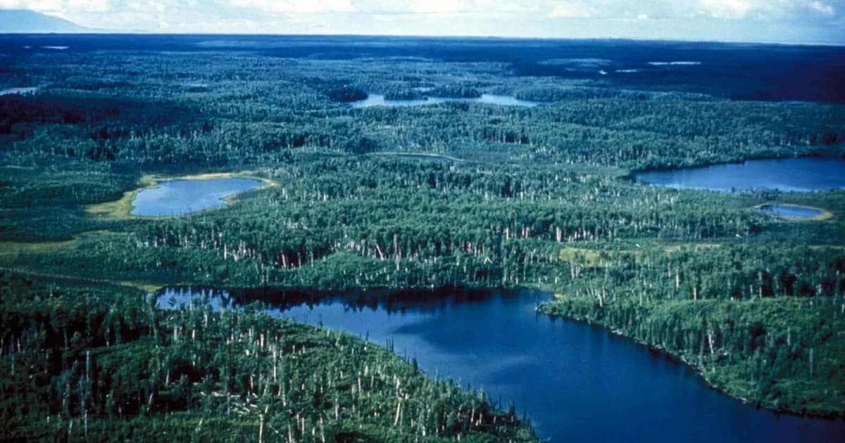 Kenai National Wildlife Refuge trail overview